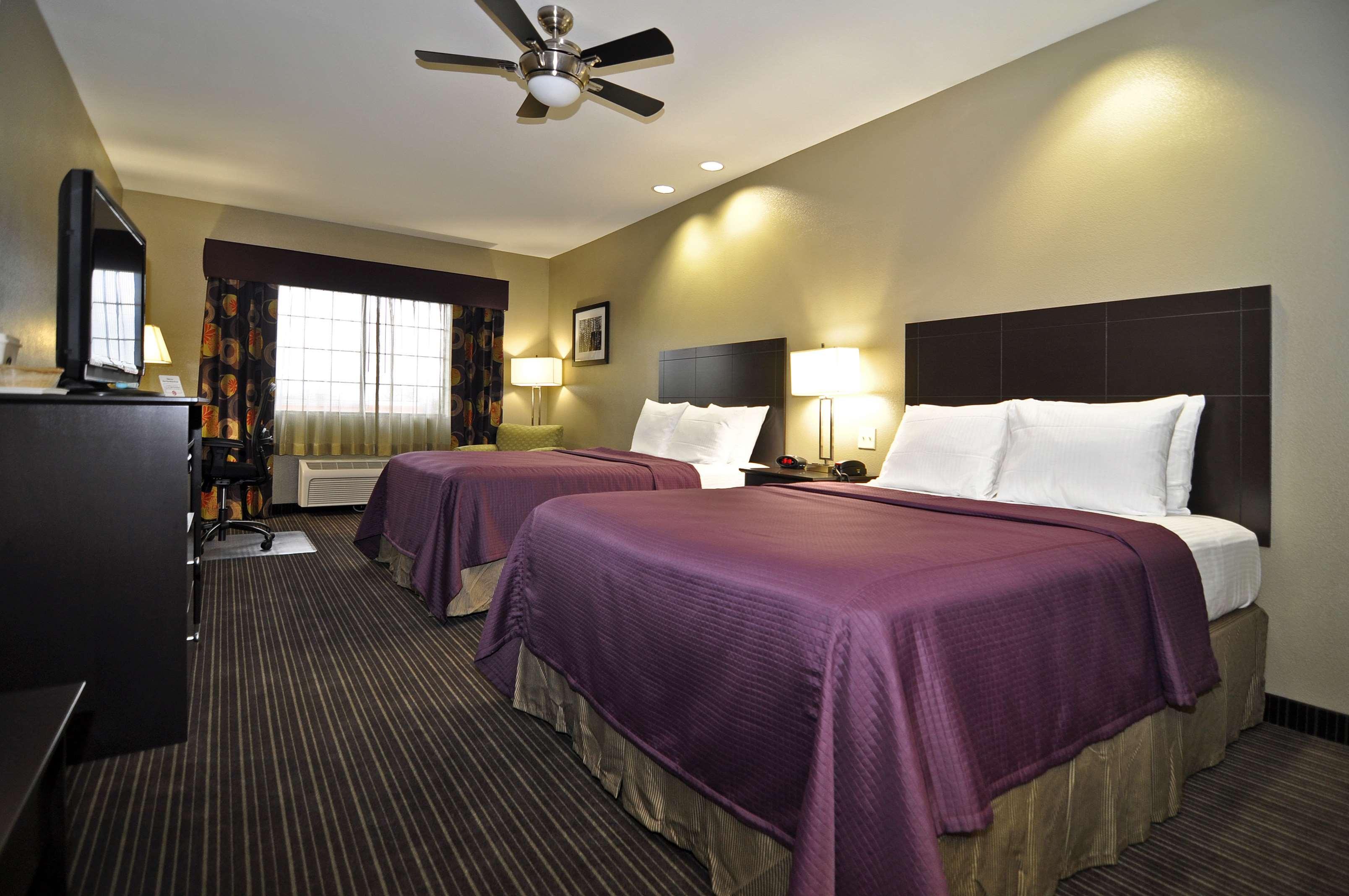 Best Western Giddings Inn & Suites Habitación foto